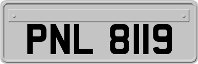 PNL8119