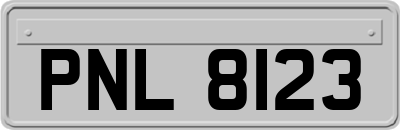 PNL8123