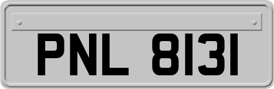 PNL8131