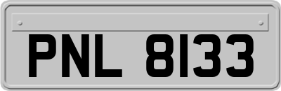 PNL8133