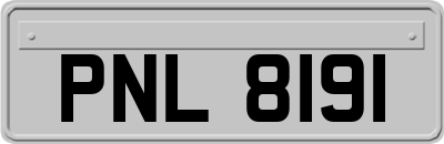 PNL8191