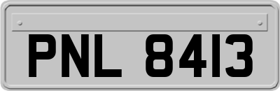 PNL8413