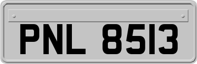 PNL8513