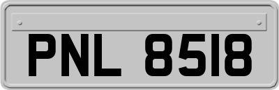 PNL8518