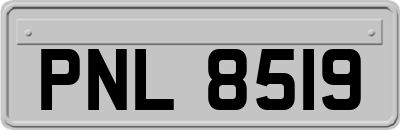 PNL8519