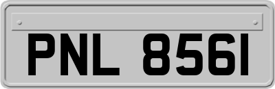 PNL8561