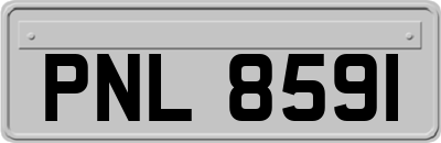 PNL8591
