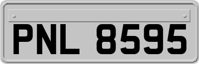 PNL8595