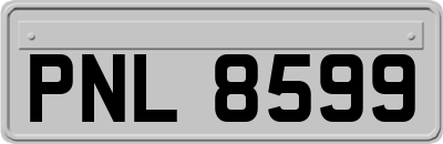PNL8599