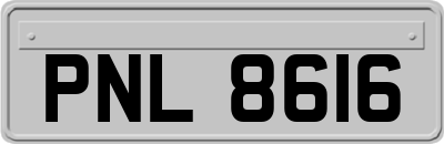 PNL8616
