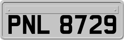PNL8729