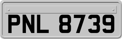 PNL8739