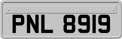 PNL8919