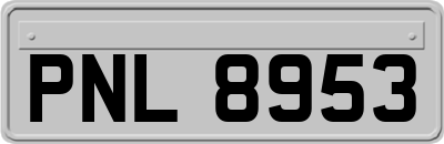 PNL8953
