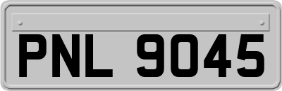 PNL9045