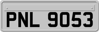 PNL9053