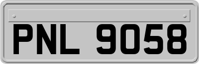 PNL9058