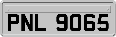 PNL9065