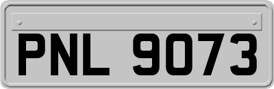 PNL9073