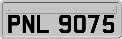 PNL9075