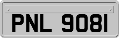 PNL9081