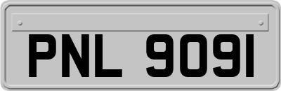 PNL9091