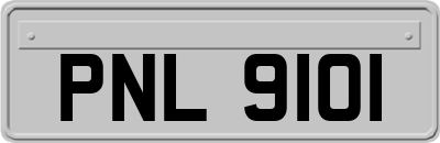 PNL9101