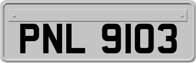 PNL9103