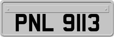PNL9113