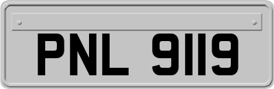 PNL9119