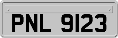 PNL9123