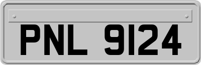 PNL9124