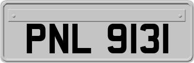 PNL9131