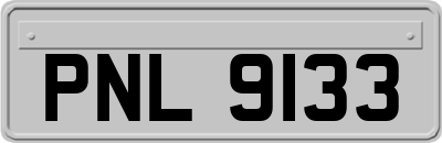 PNL9133