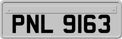 PNL9163