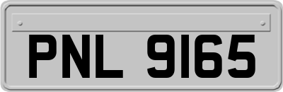 PNL9165