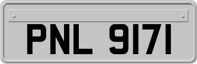 PNL9171