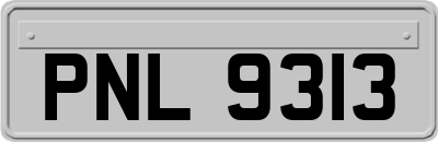 PNL9313