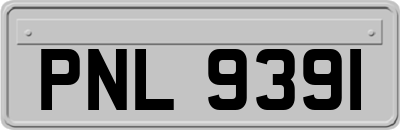 PNL9391