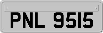 PNL9515