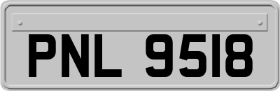 PNL9518