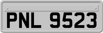 PNL9523