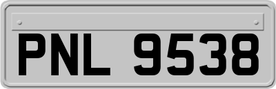 PNL9538