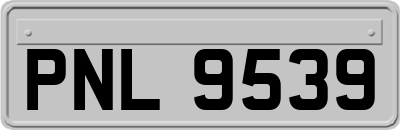 PNL9539