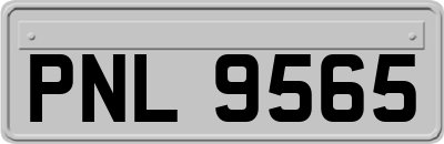 PNL9565
