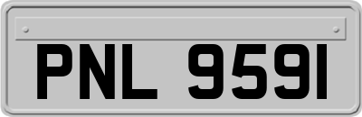 PNL9591