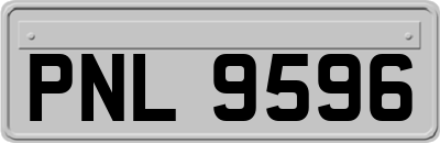 PNL9596