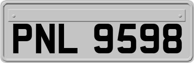 PNL9598