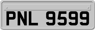 PNL9599