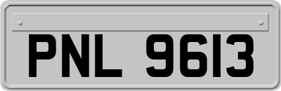 PNL9613